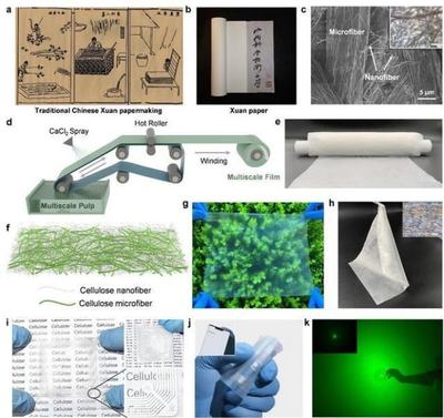 中國科學技術大學引領創新 新型柔性顯示膜材料問世，開啟顯示技術新篇章